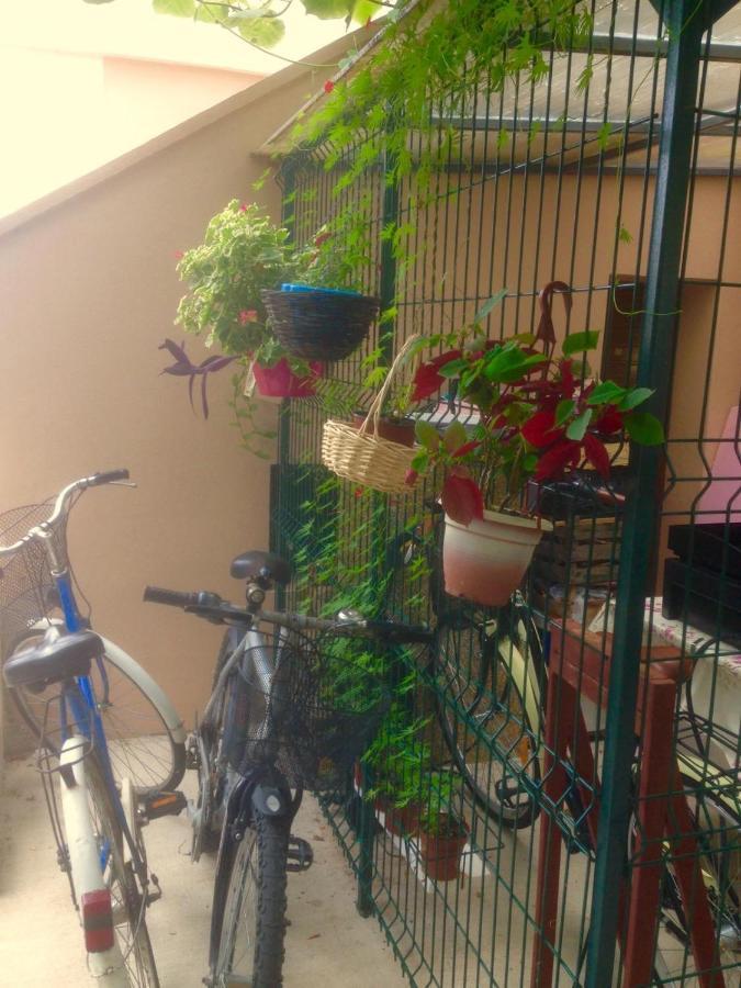 Apartment Dunja Djenovici 赫尔采格诺维 外观 照片